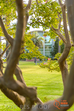 February 2015 / BH_GARDEN_201_150220