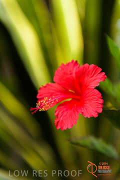 February 2015 / BH_GARDEN_202_150220