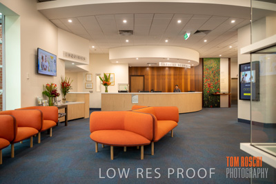 February 2020 / BH_200227_303