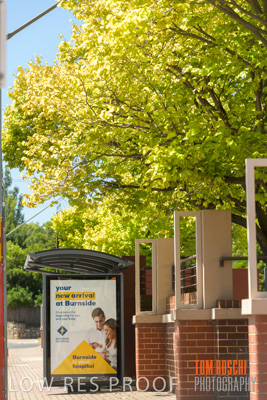 February 2020 / BH_200222_192