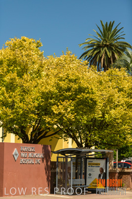 February 2020 / BH_200222_211