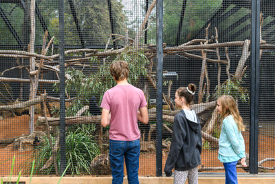 CARERS_SA_ZOO_DAY_210419__85N1058