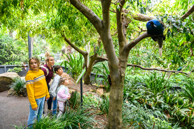 CARERS_SA_ZOO_DAY_210419__85N1197