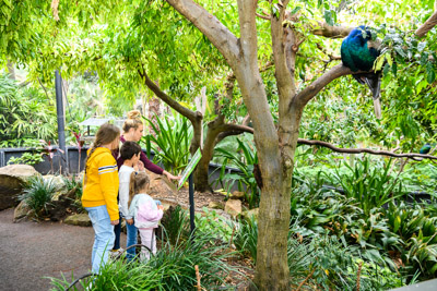 CARERS_SA_ZOO_DAY_210419__85N1201