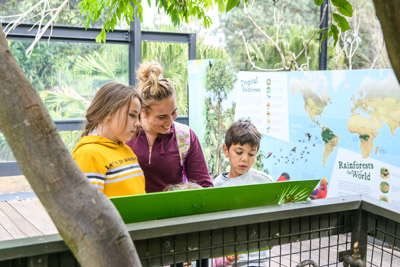 CARERS_SA_ZOO_DAY_210419__85N1212