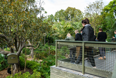 CARERS_SA_ZOO_DAY_210419__85N1252