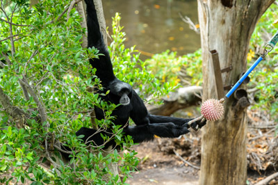 CARERS_SA_ZOO_DAY_210419__D4P6020