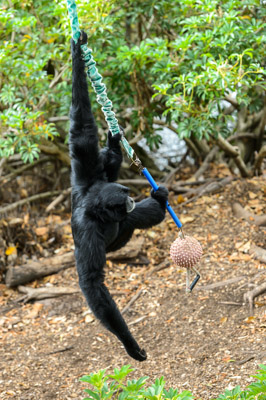 CARERS_SA_ZOO_DAY_210419__D4P6023