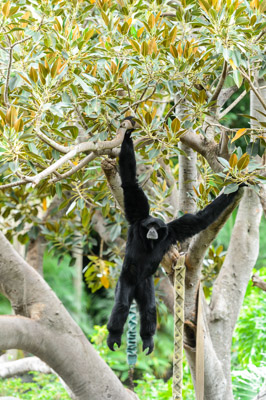 CARERS_SA_ZOO_DAY_210419__D4P6047