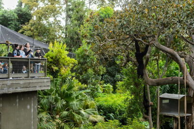 CARERS_SA_ZOO_DAY_210419__D4P6054