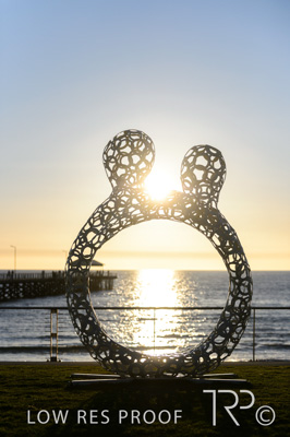 October 2021 / CARERS_SA_STATUE_HENLEY_211021_4665