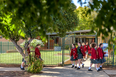 February 2020 / KILDARE_200204_001