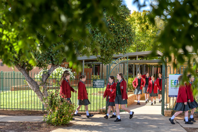 February 2020 / KILDARE_200204_002