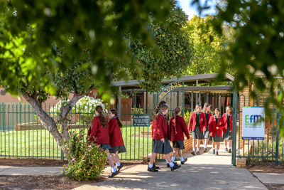 February 2020 / KILDARE_200204_003