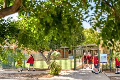 February 2020 / KILDARE_200204_018