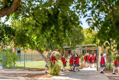 February 2020 / KILDARE_200204_020