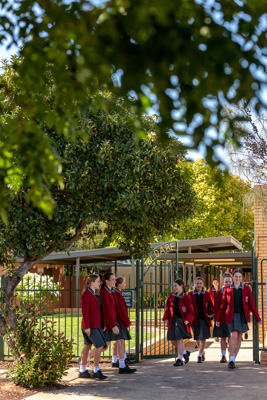 February 2020 / KILDARE_200204_027