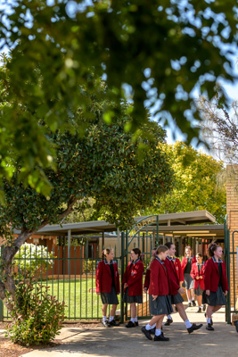 February 2020 / KILDARE_200204_028