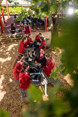 February 2020 / KILDARE_200204_034