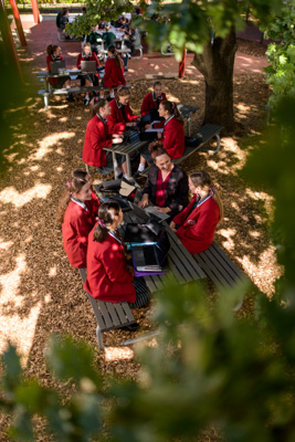 February 2020 / KILDARE_200204_039