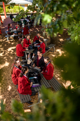 February 2020 / KILDARE_200204_044