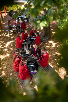 February 2020 / KILDARE_200204_049