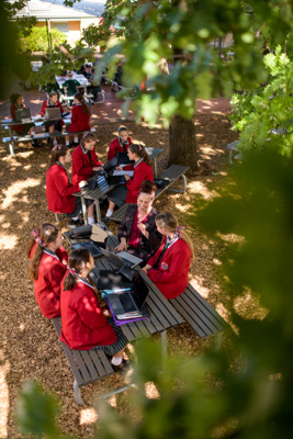 February 2020 / KILDARE_200204_054