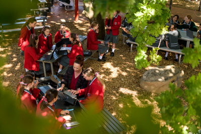 February 2020 / KILDARE_200204_084