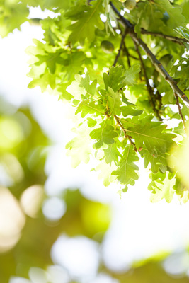 February 2020 / KILDARE_200204_368