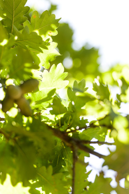 February 2020 / KILDARE_200204_369