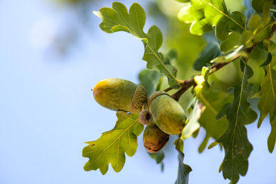 February 2020 / KILDARE_200204_379