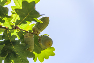 February 2020 / KILDARE_200204_390
