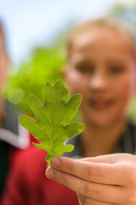 February 2020 / KILDARE_200204_409
