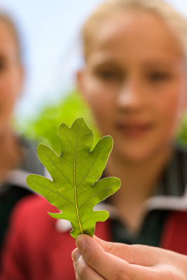 February 2020 / KILDARE_200204_410