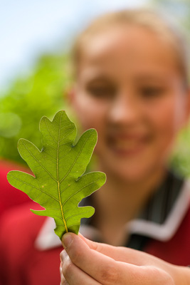 February 2020 / KILDARE_200204_414