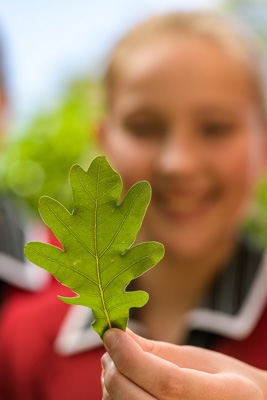 February 2020 / KILDARE_200204_415