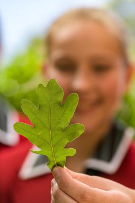 February 2020 / KILDARE_200204_416
