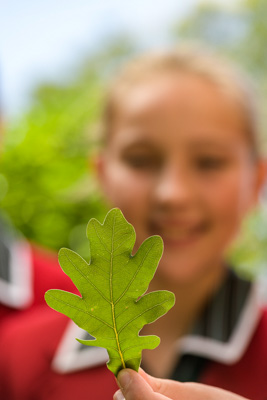 February 2020 / KILDARE_200204_417