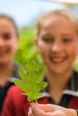 February 2020 / KILDARE_200204_422