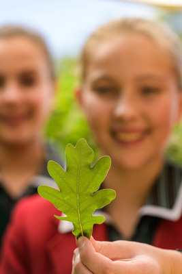 February 2020 / KILDARE_200204_423