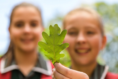 February 2020 / KILDARE_200204_425