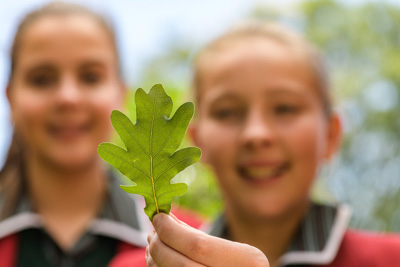 February 2020 / KILDARE_200204_426