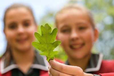 February 2020 / KILDARE_200204_427