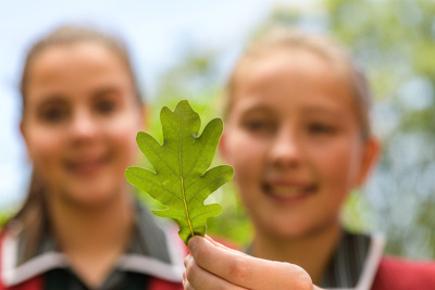 February 2020 / KILDARE_200204_428