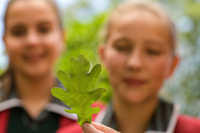 February 2020 / KILDARE_200204_429