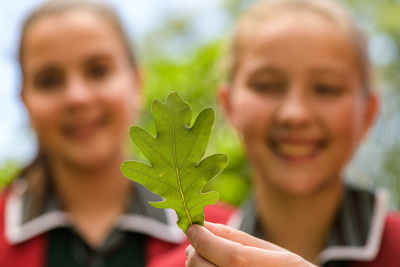 February 2020 / KILDARE_200204_430