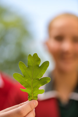 February 2020 / KILDARE_200204_431