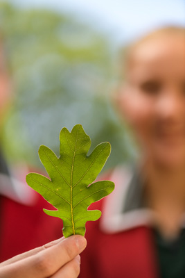 February 2020 / KILDARE_200204_432