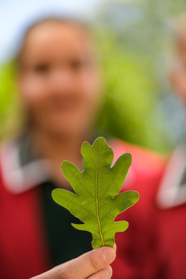 February 2020 / KILDARE_200204_434