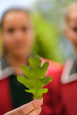 February 2020 / KILDARE_200204_435